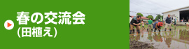 春の交流会（田植え）