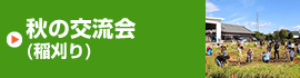 秋の交流（稲刈り）