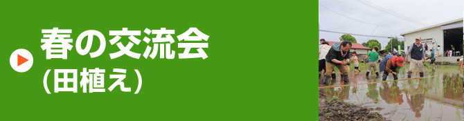 春の交流会（田植え）