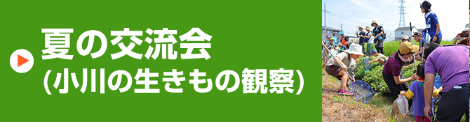 夏の交流会（小川の生きもの観察）