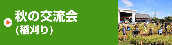 秋の交流（稲刈り）