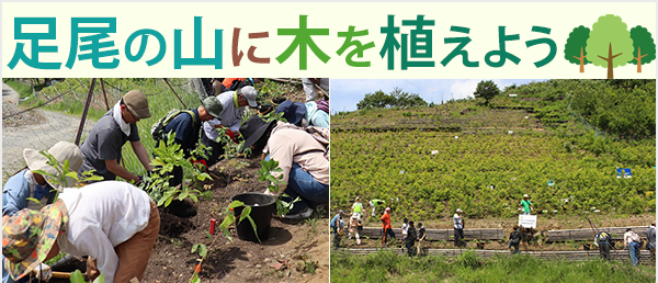 足尾の植樹体験＆環境学習会　参加者募集!!