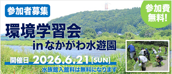 とちぎコープの環境学習会 in なかがわ水遊園 参加者募集