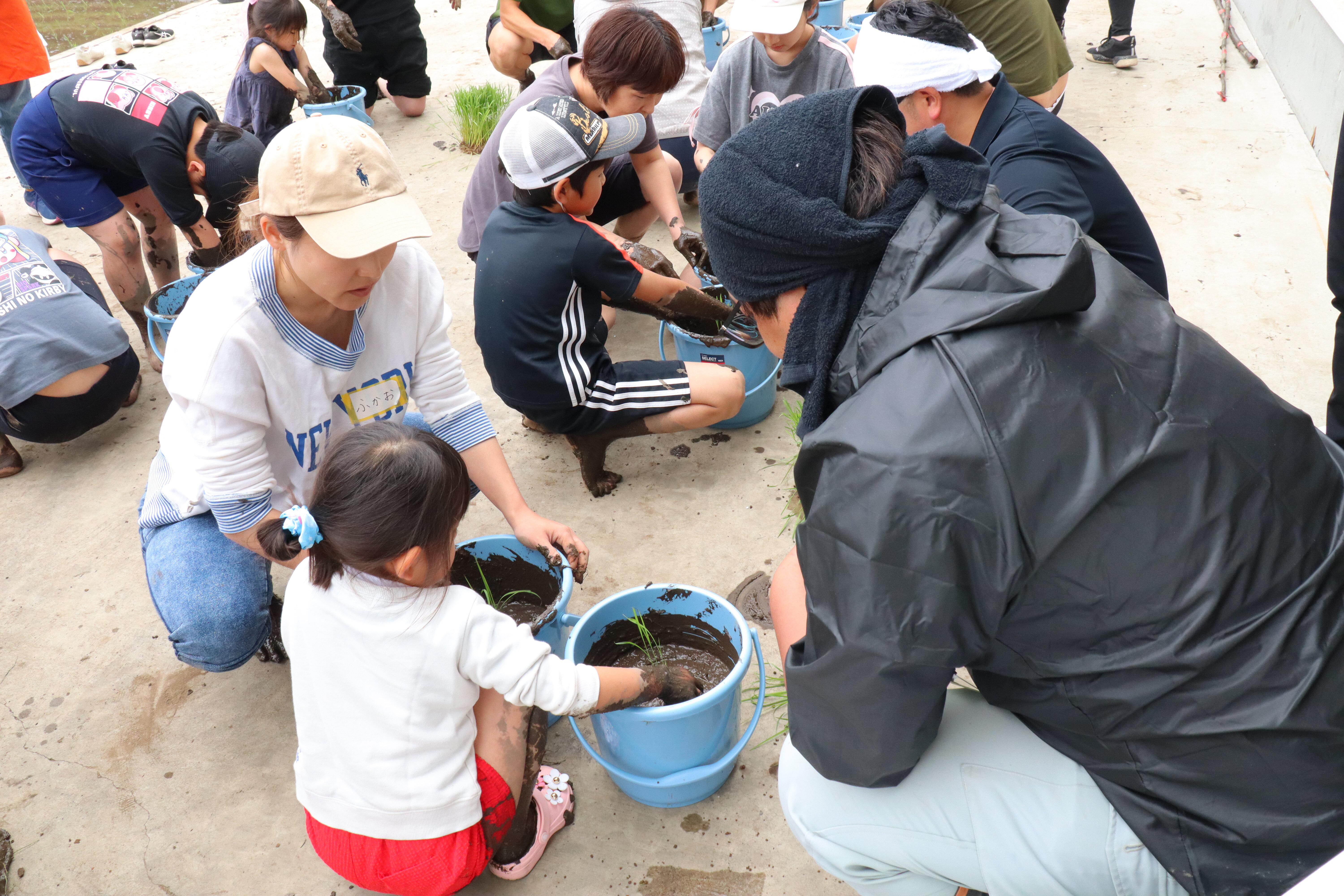 バケツの中は小さな田んぼ。水を含んだ土がトロトロになるまでかき混ぜ、苗を植えました。