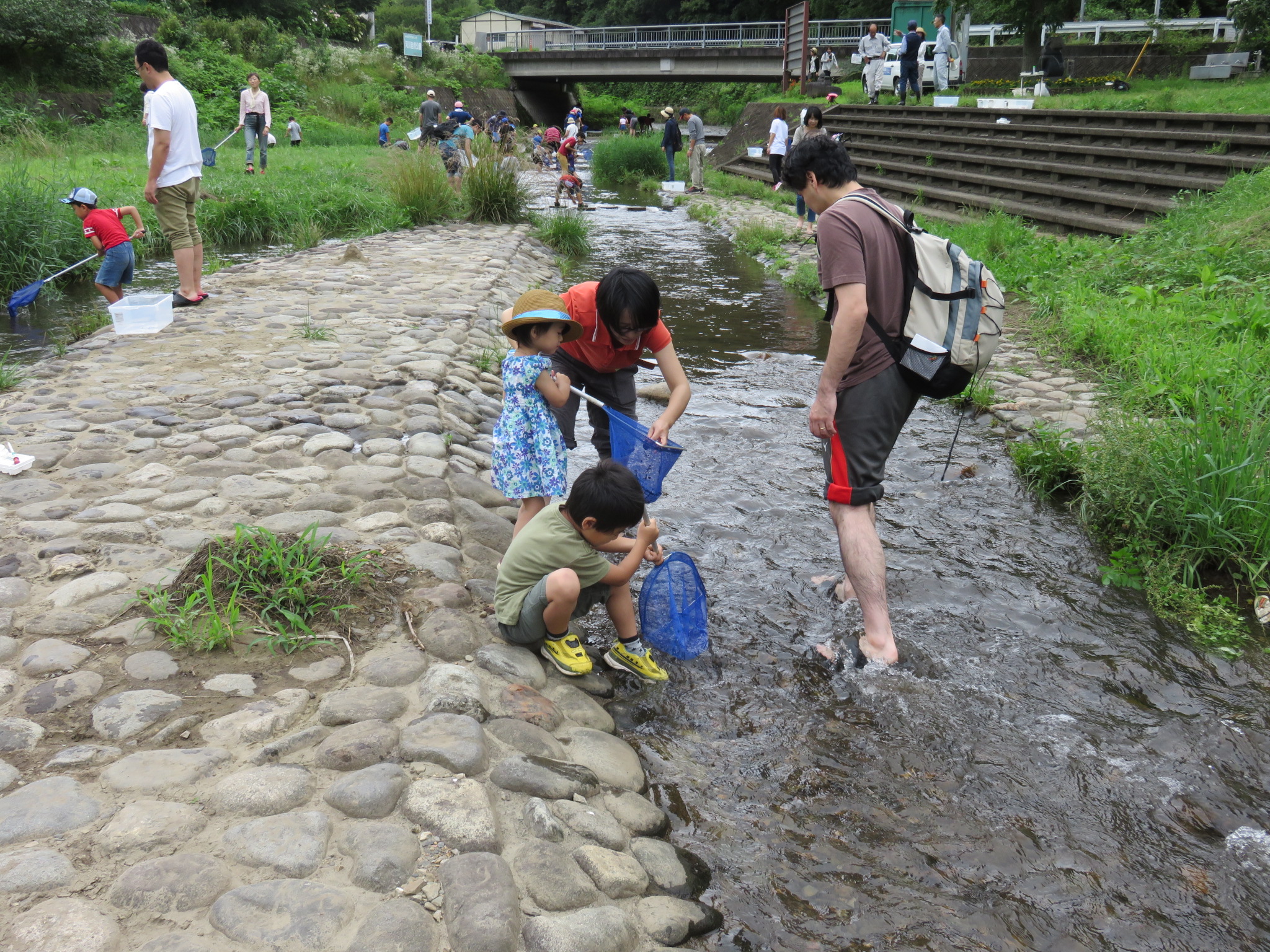 大人も子どももみんな楽しそうに、川の虫取りに一生懸命。