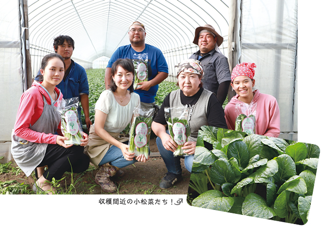 産直 小松菜（有機栽培）を栽培するハウスの中で生産者の集合写真