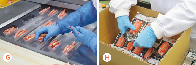 充填・殺菌・箱詰めの様子