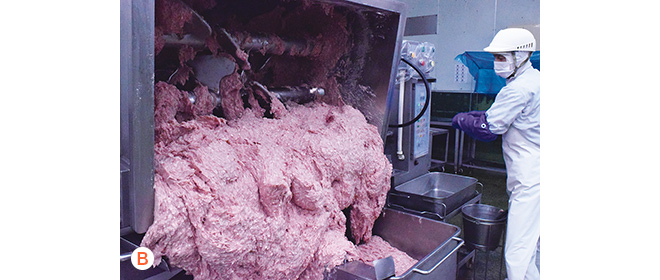 肉挽き・塩漬けの様子