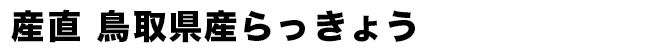 産直 鳥取県産らっきょう