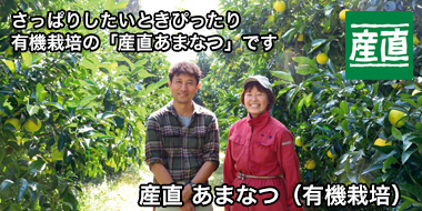 太陽の光をたっぷり浴びて育った秋の味覚「産直 おけさ柿」 おすすめ！コープの商品